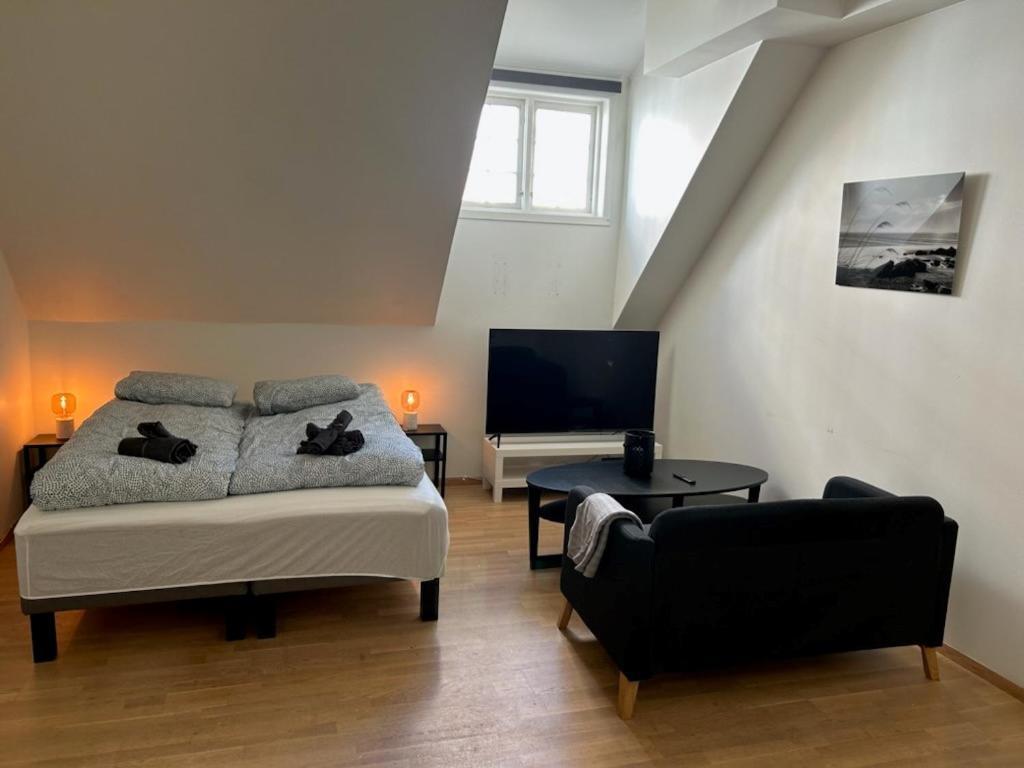 Marken Studio Apartments Bergen Ngoại thất bức ảnh